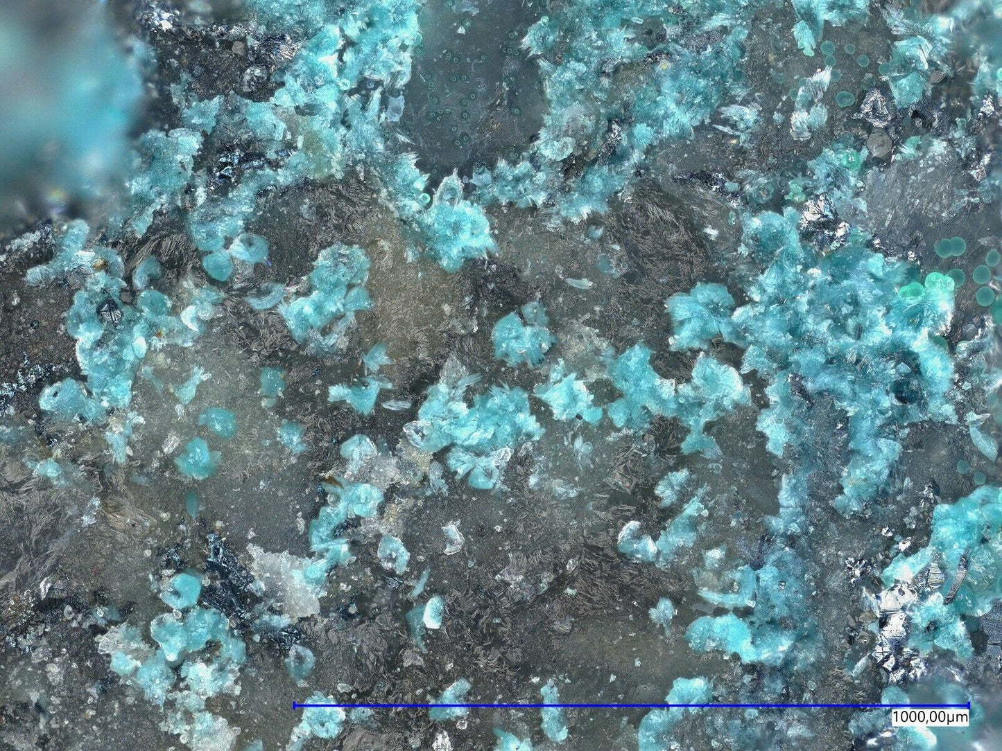 Gerhardtite Dzhezhkazgan district, Karaganda Region, Kazakhstan