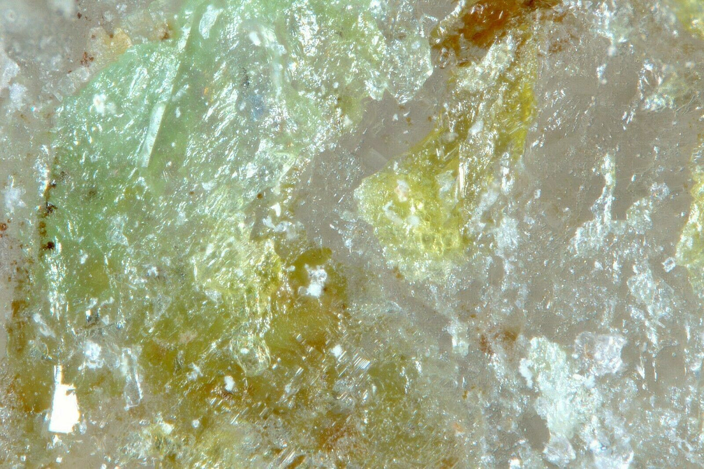 Thorneite Bird Nest Drift, California, USA