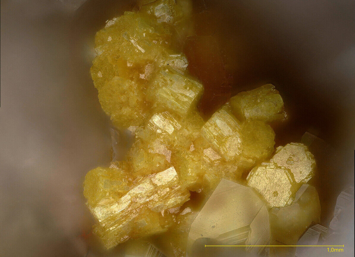 Kleinite Mc Dermitt mine, Nevada, USA