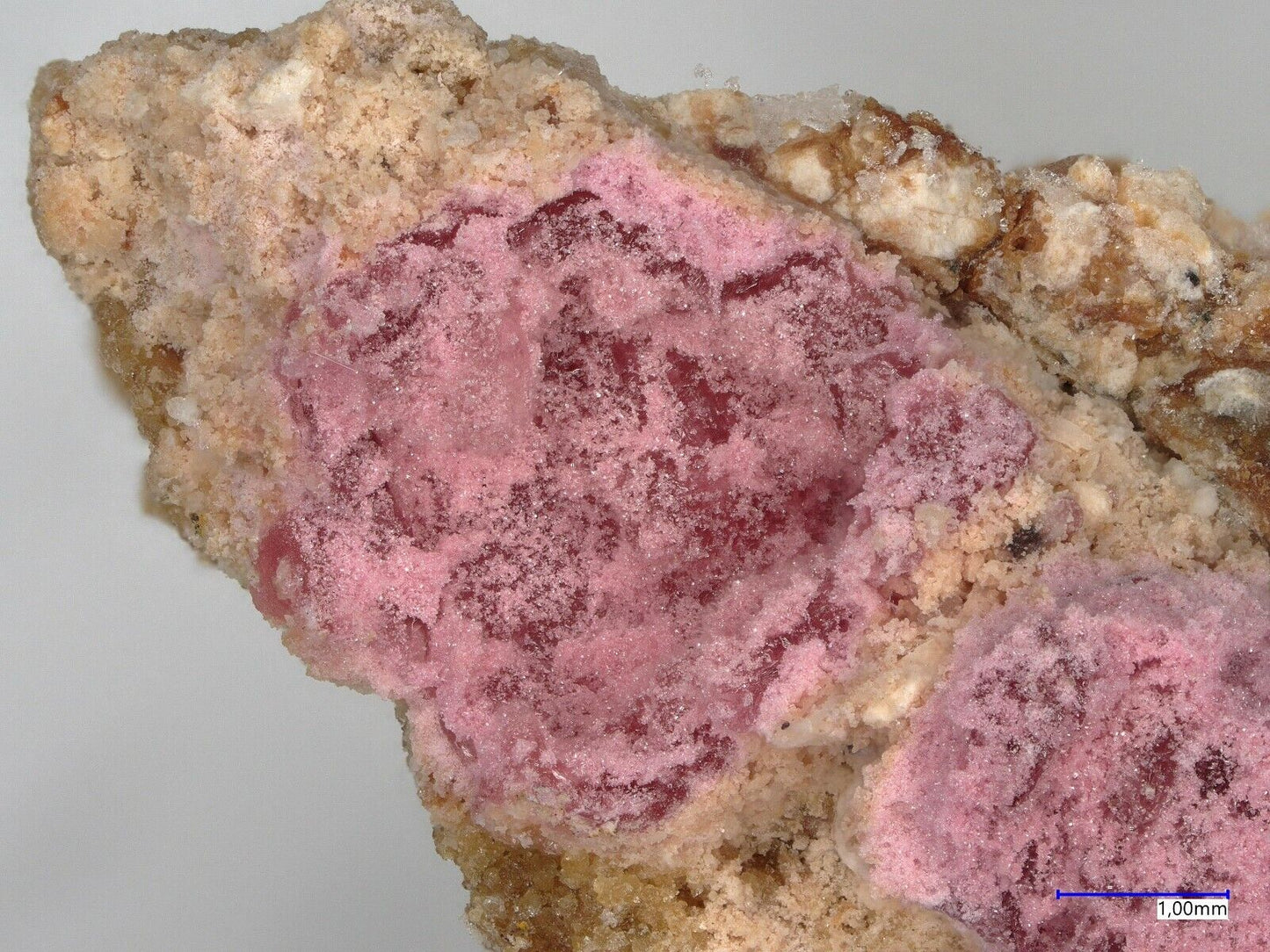 Tinsleyit Morro Mejillones, Mejillones, Chile