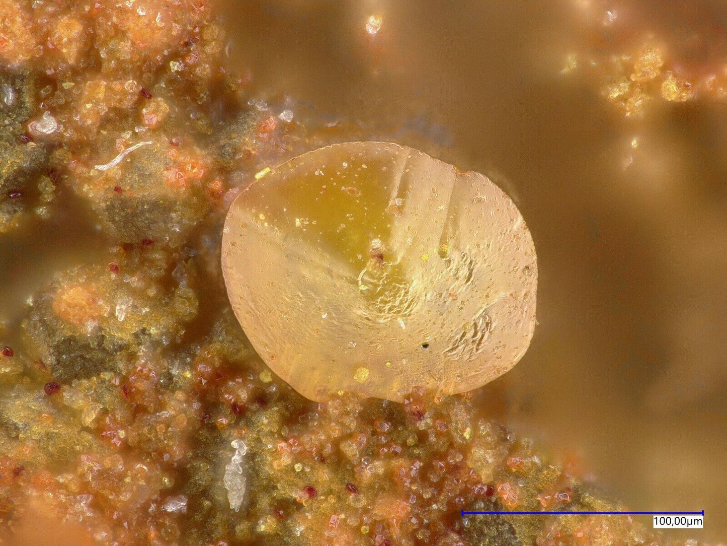 Phoenicochroit, Schwartzembergit La Union mine, Sierra Gorda, Antofagasta, Chile