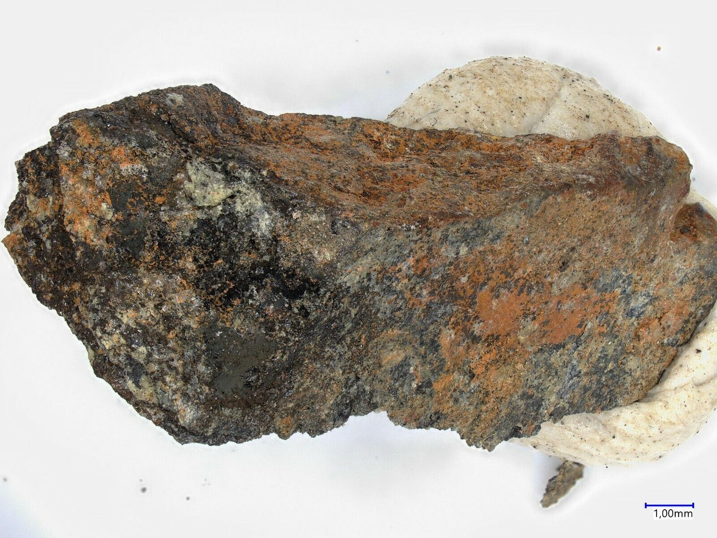 Woodruffite Uranus Mine, Kleinrückerswalde, Saxony, Germany
