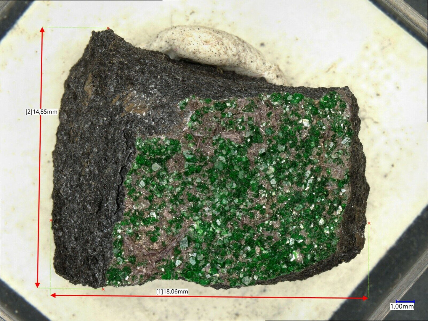 Schuiskit Uvarovit Sarany Ural Russische Föderation