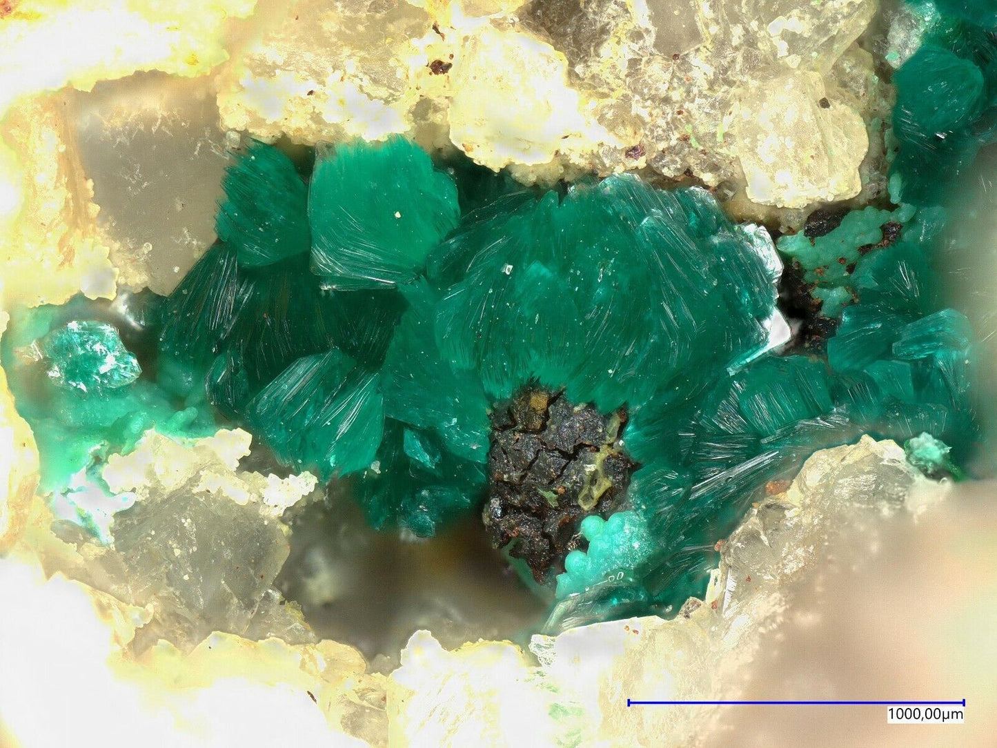 Tangdanit La Amorosa mine,  Villahermosa del Rio, Castellón, Spanien