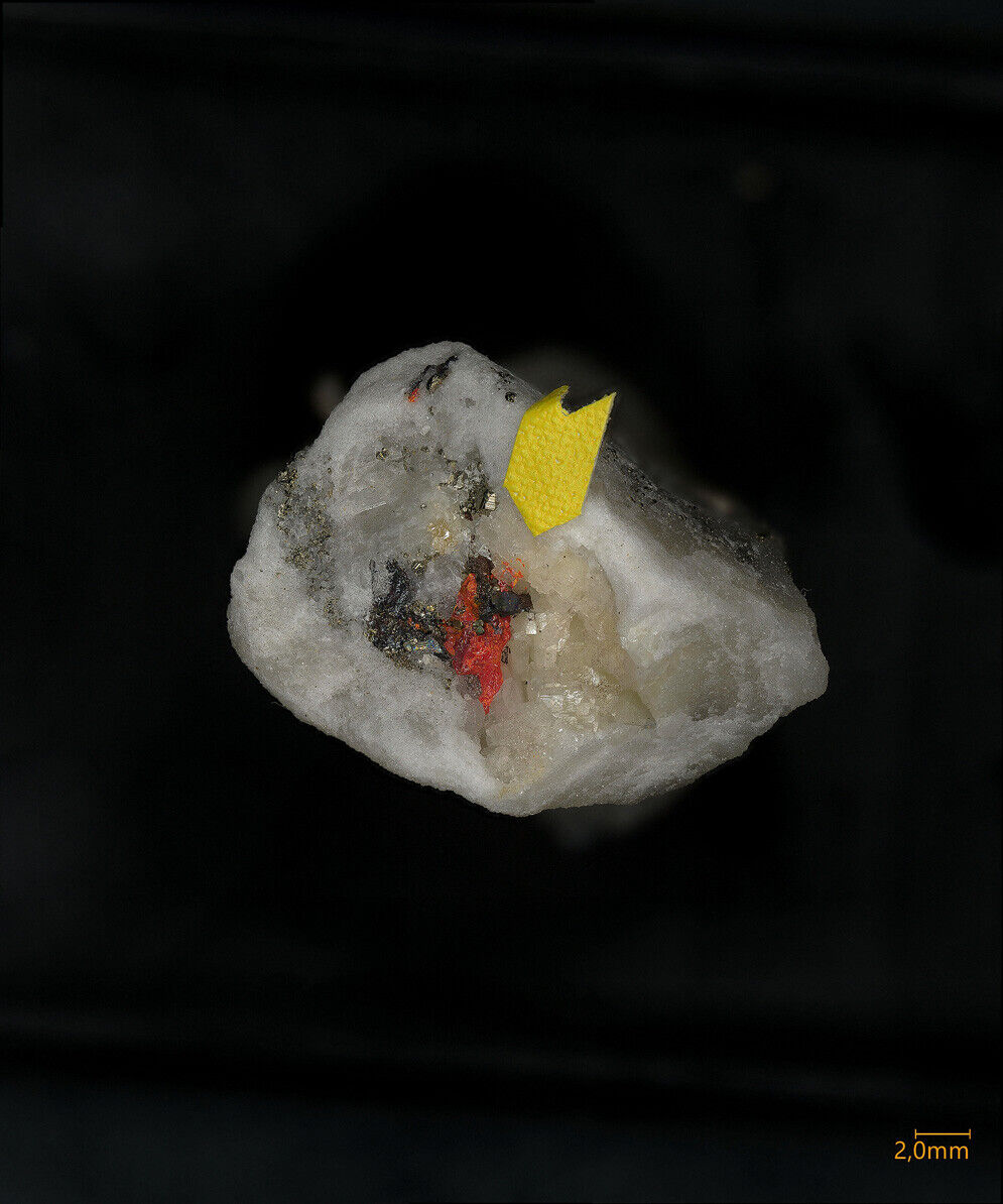 Hendekasartorite Lengenbach quarry, Binn Valley, Switzerland