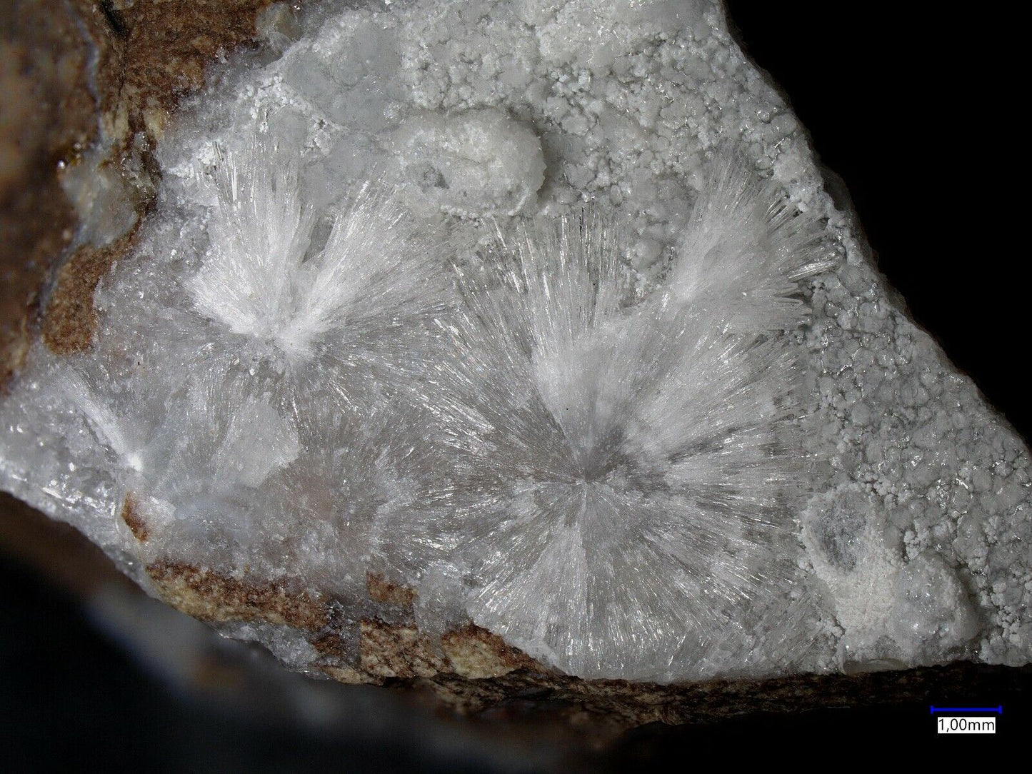 Brenkit Schellkopf, Brenk, Eifel, Deutschland