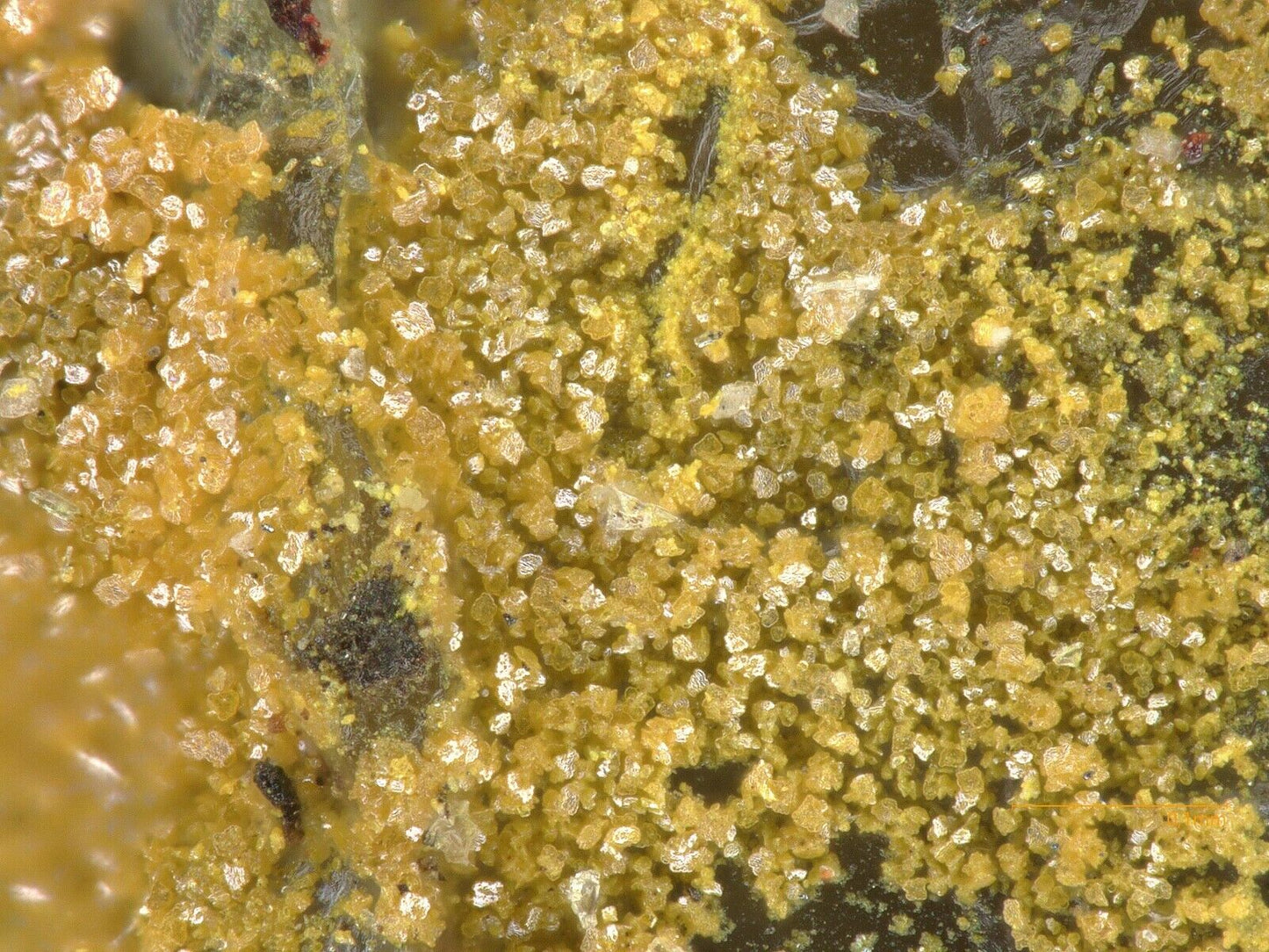 Pottsite & Clinobisvanite Linka Mine, Nevada, USA - SEM-EDS