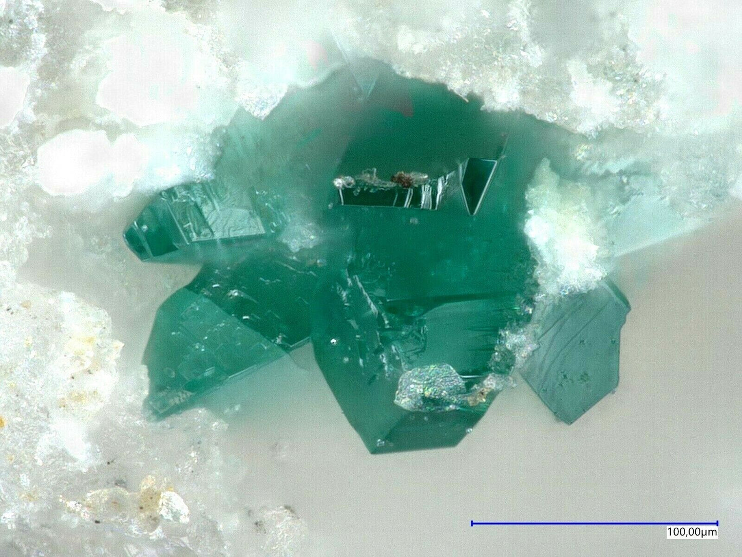 Lammerit Lavendulan El Guanaco Mine, Guanaco  Antofagasta Province, Chile