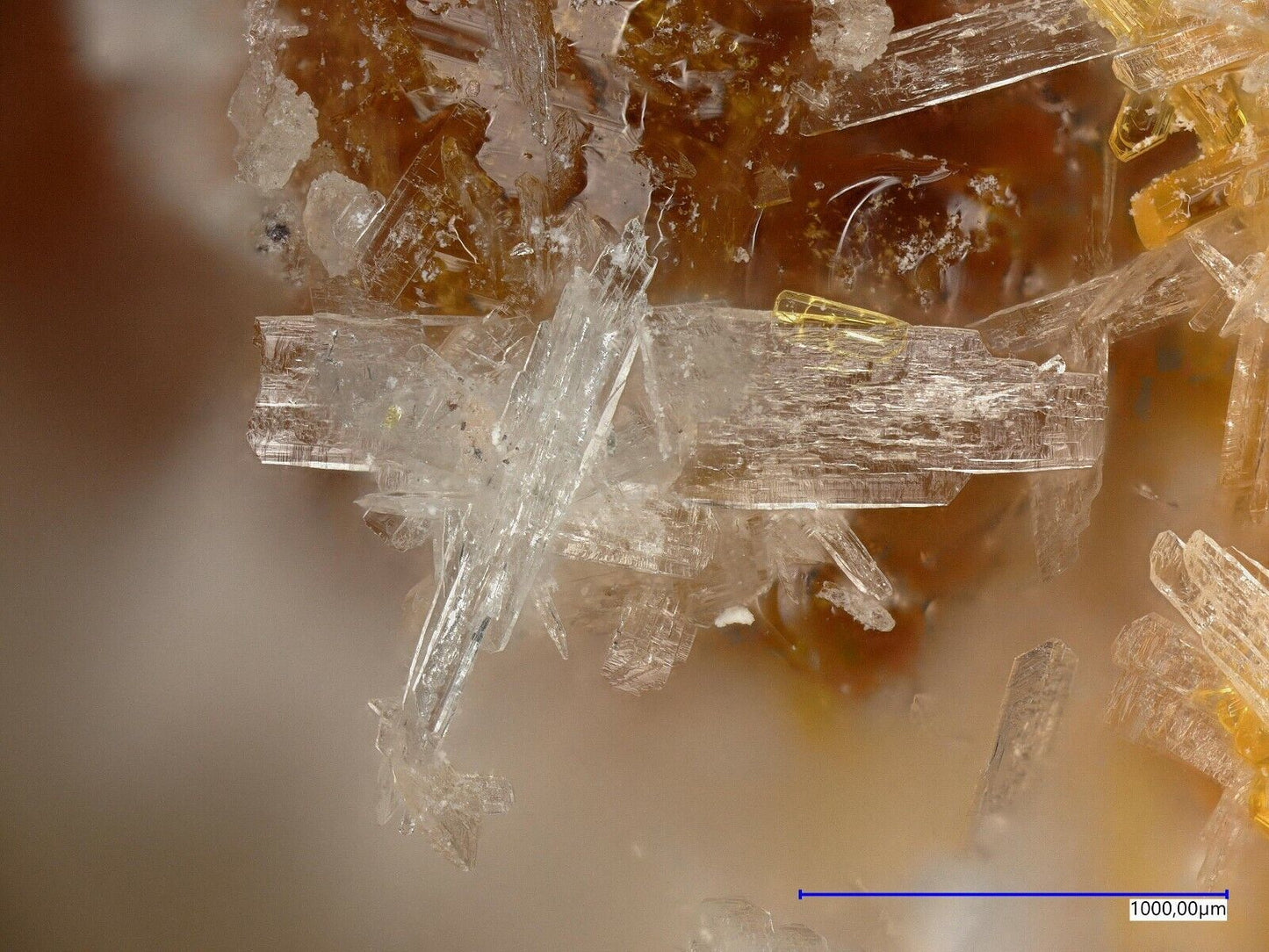 Antofagastait, Coronel Manuel Rodriguez mine, Mejillones, Chile XRD untersucht