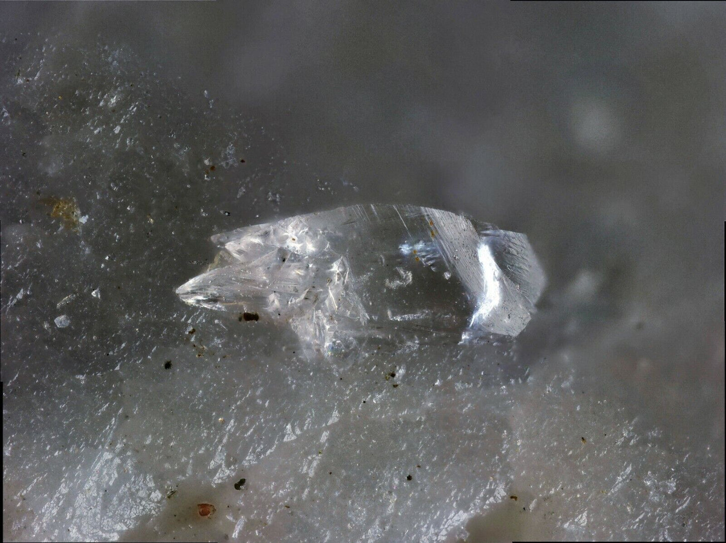 Behoit - Behoite Almenningen, Tvedalen, Larvik, Norwegen, Norway