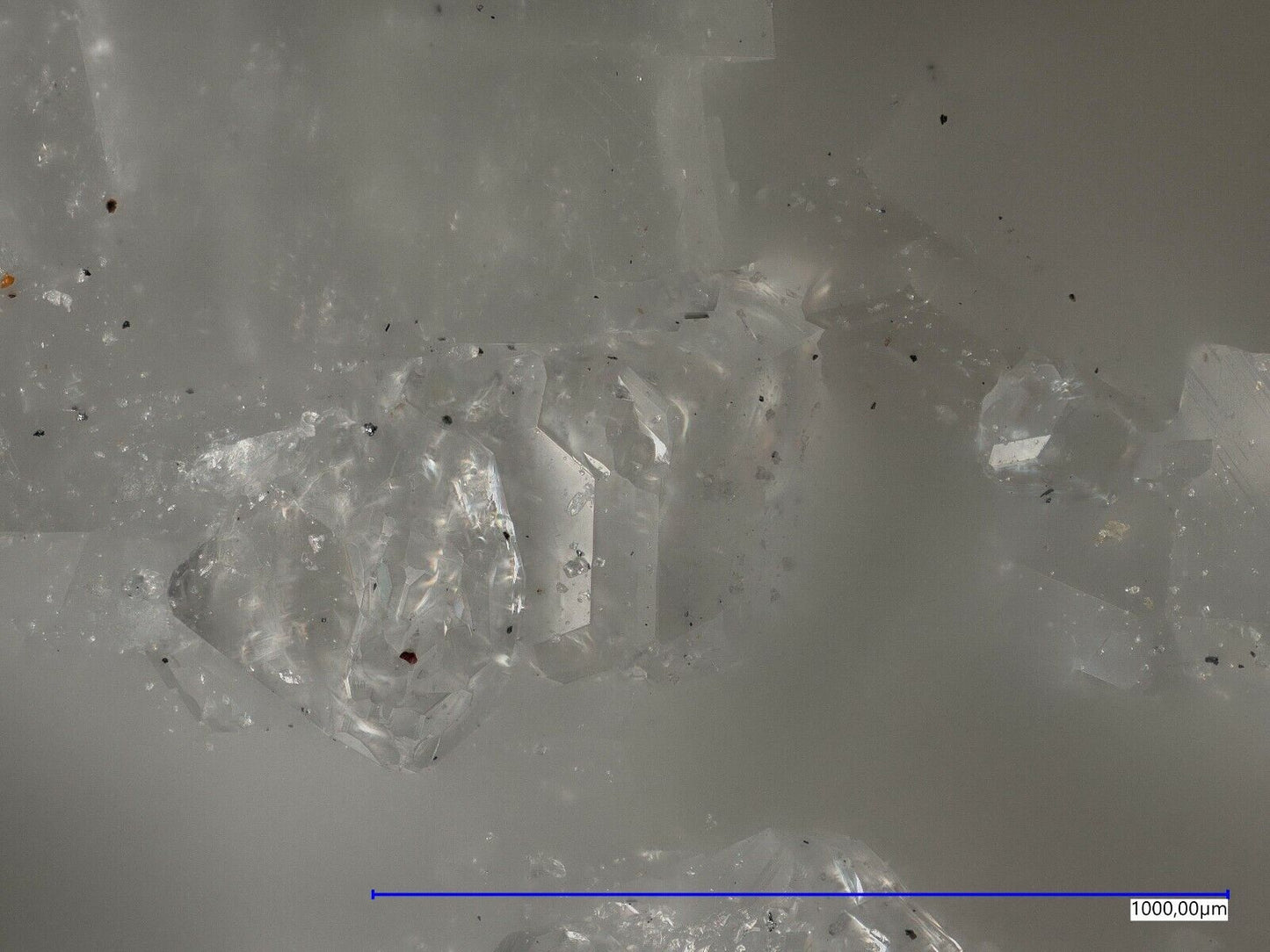 Fluorapatit / Fluorapatite Lengenbach, Binntal, Schweiz