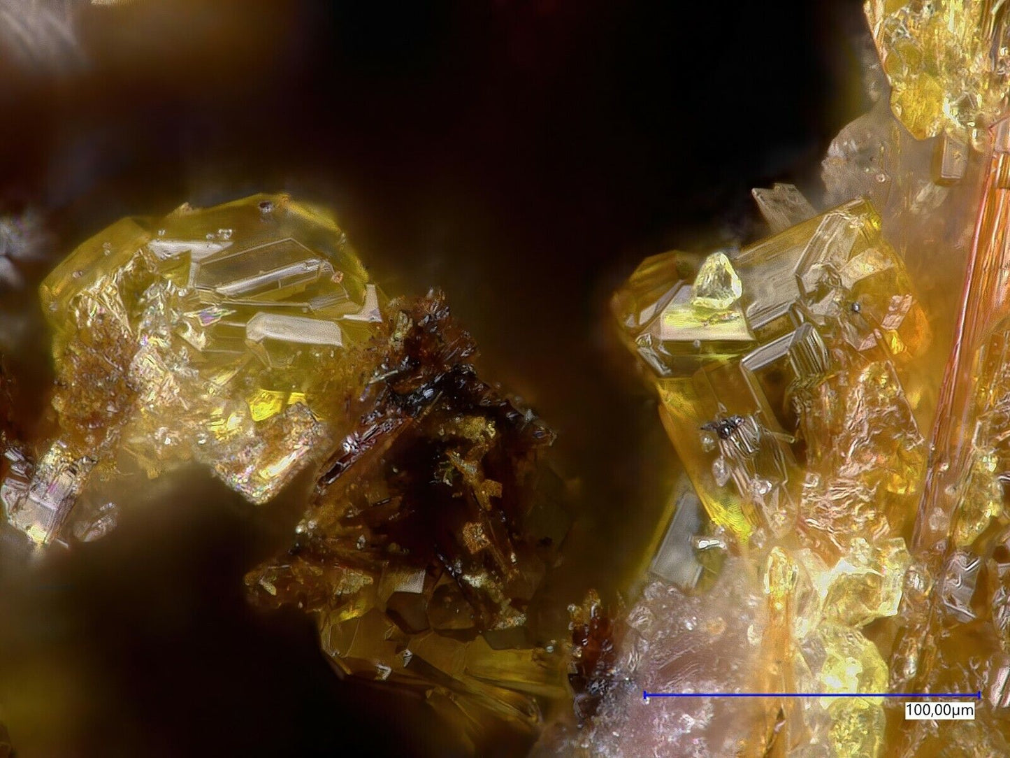 Cyrilovit Sapucaia Mine, Minas Gerais, Brasilien