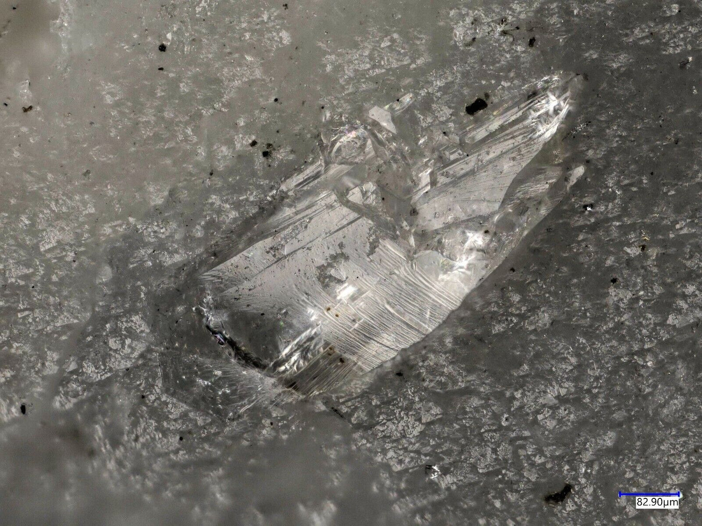 Behoit - Behoite Almenningen, Tvedalen, Larvik, Norwegen, Norway