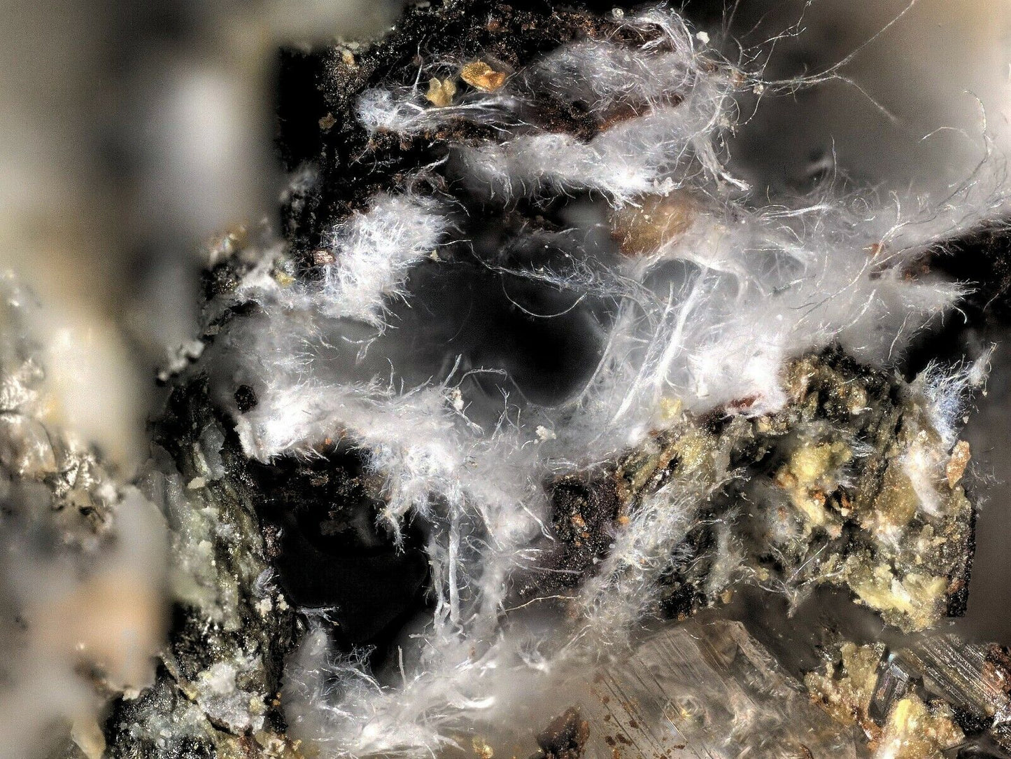 Tavagnascoit - Tavagnascoite Esmoraca district, Sud Lipez Provinz, Bolivien