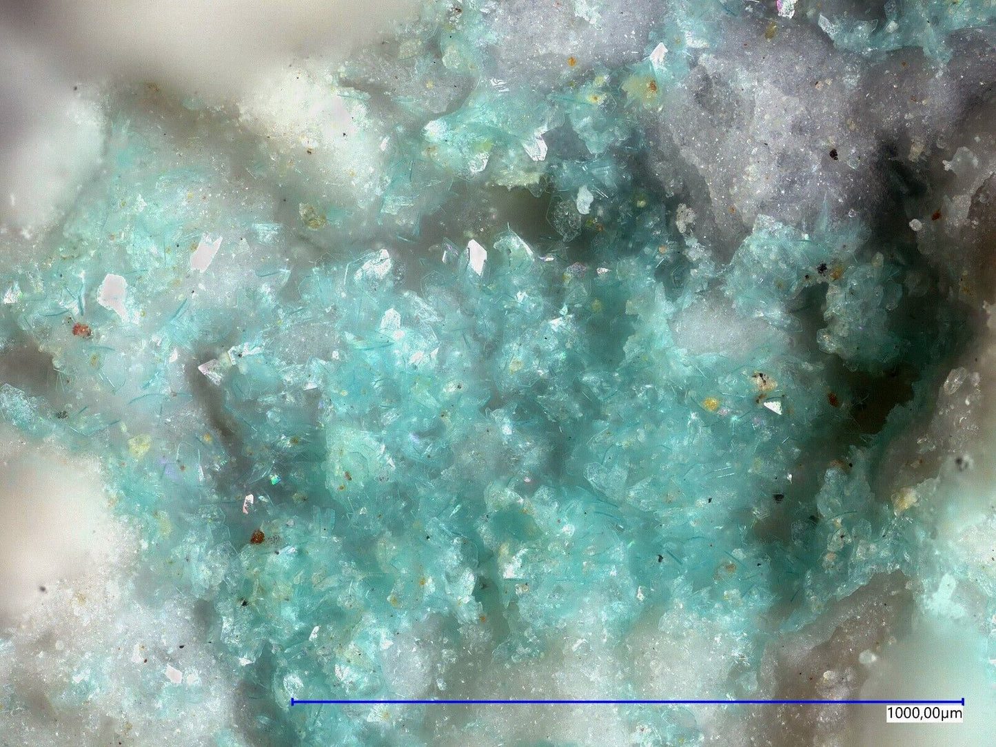 Joteit Jote mine, Tierra Amarilla, Copiapo, Chile