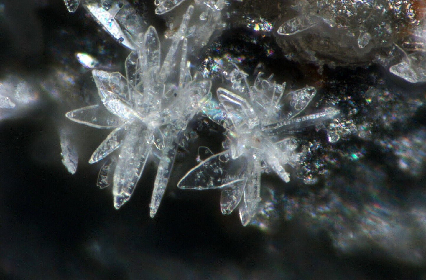 Tinnunculit - Tinnunculite Altlay, Zell, Rheinland-Pfalz, Deutschland, analysed
