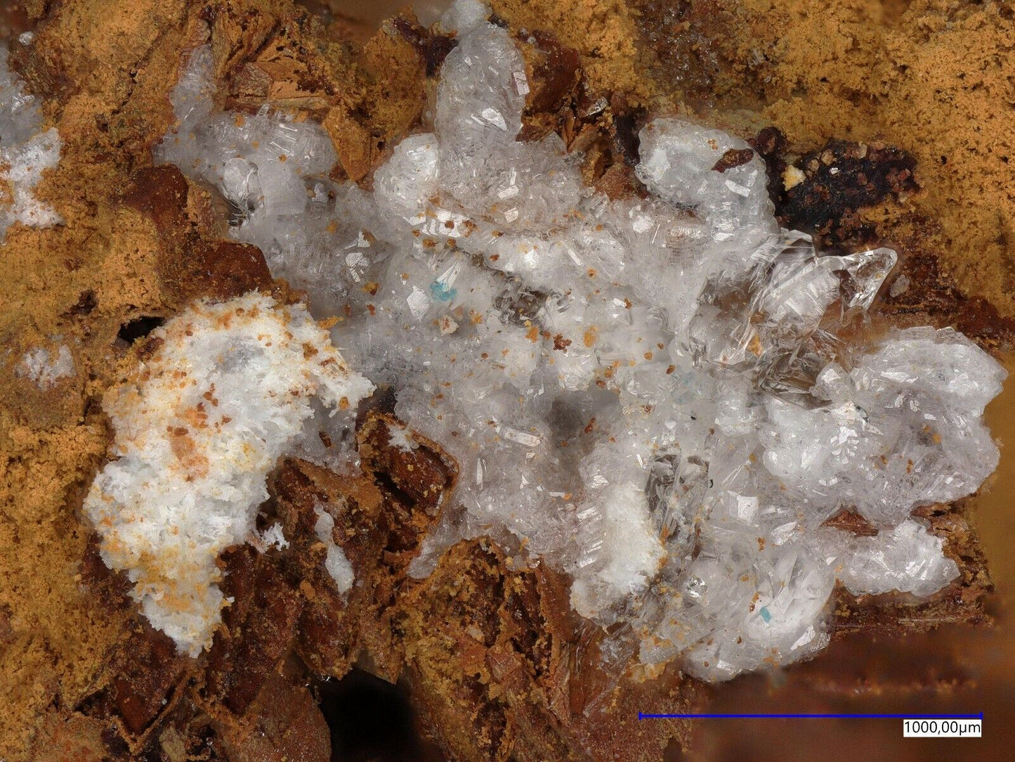 Uklonskovite & Caracolite La Compania mine, Sierra Gorda, Antofagasta, Chile EDX