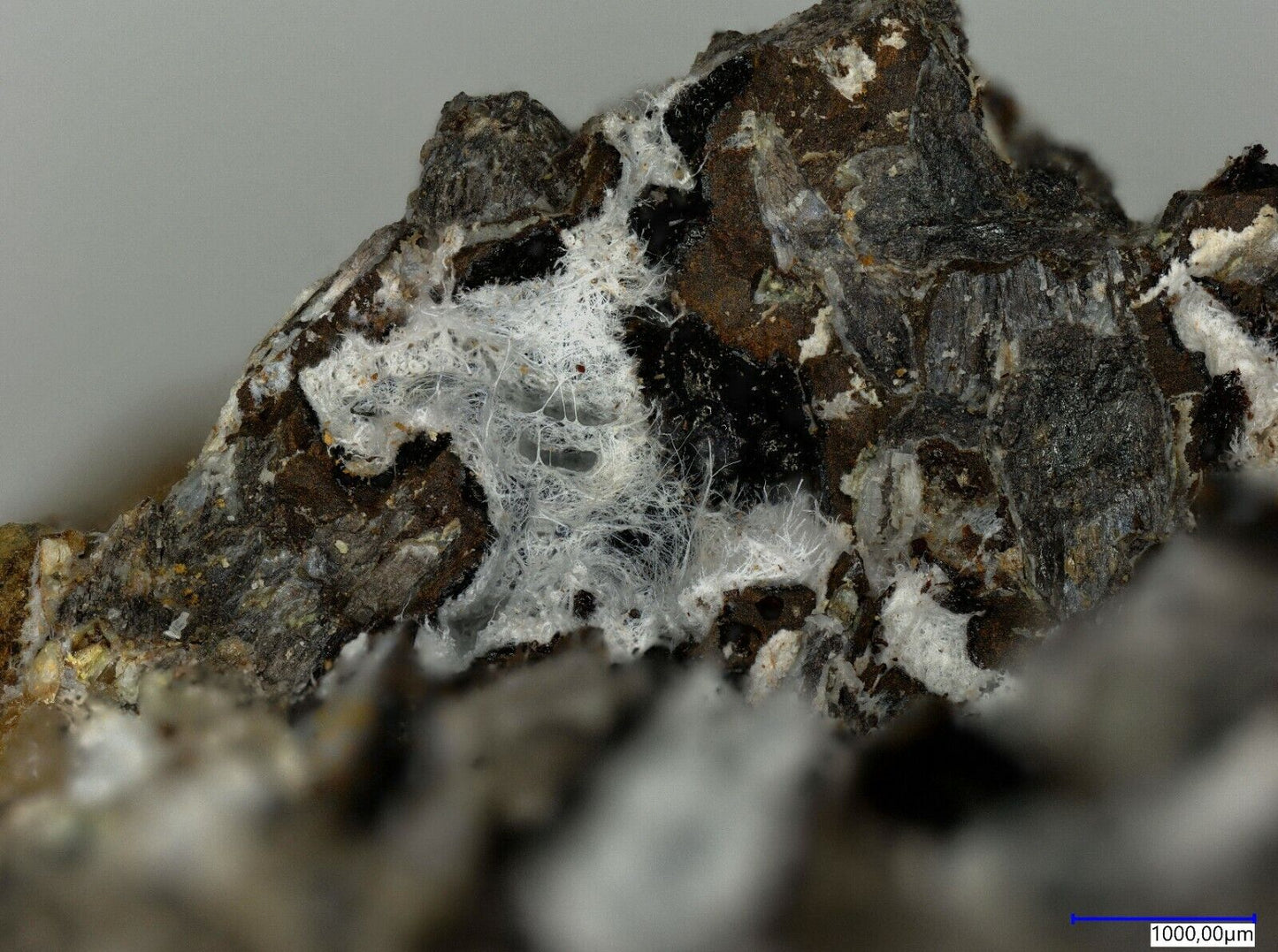 Tavagnascoite Esmoraca District, Lipez Prov., Potosi, Bolivia
