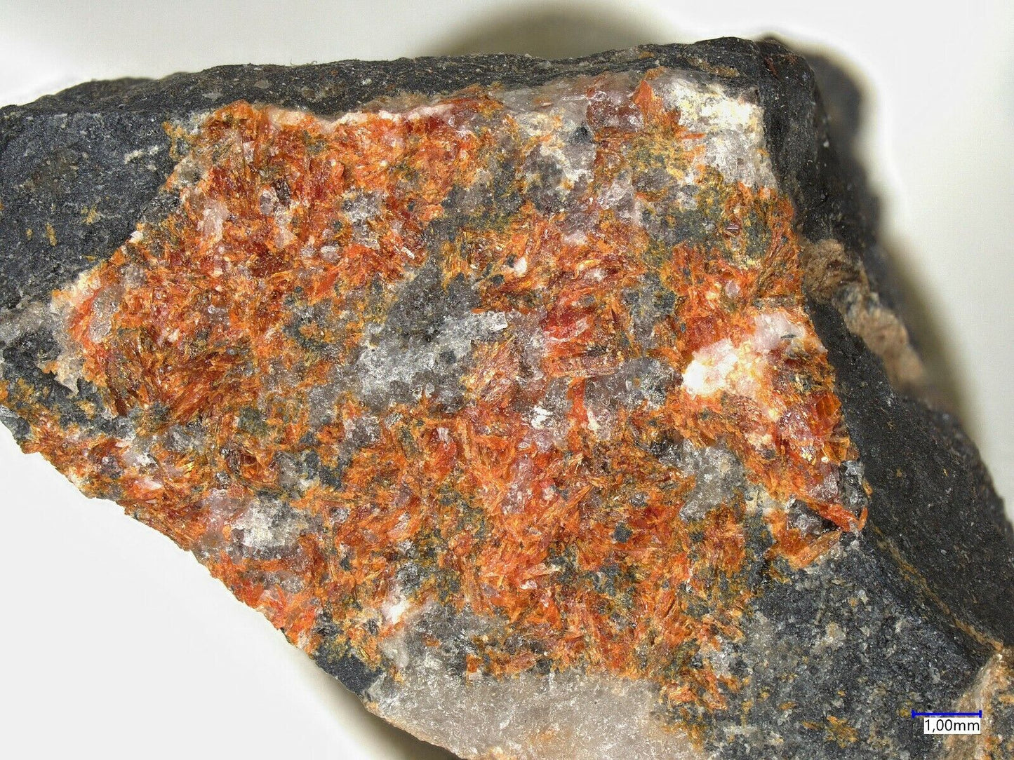 Saneroit Molinello Mine Genoa Italien