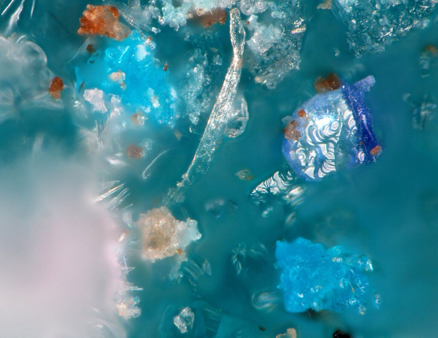 Antipinit - Antipinite Pabellon de Pica, Iquique, Chile