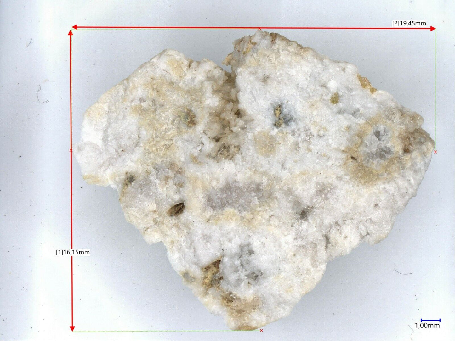 Korobitsynite Shomiokitovoe, Umbozero, Kola, Murmansk Oblast, Russian Federation