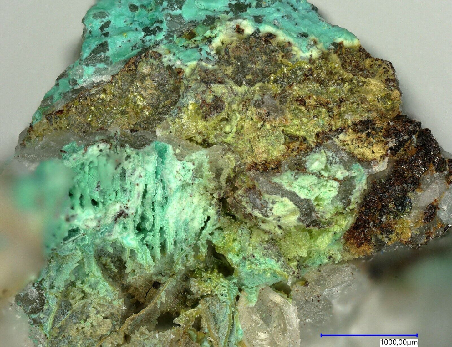 Leisingite North Star mine, Utah, USA EDS analysed