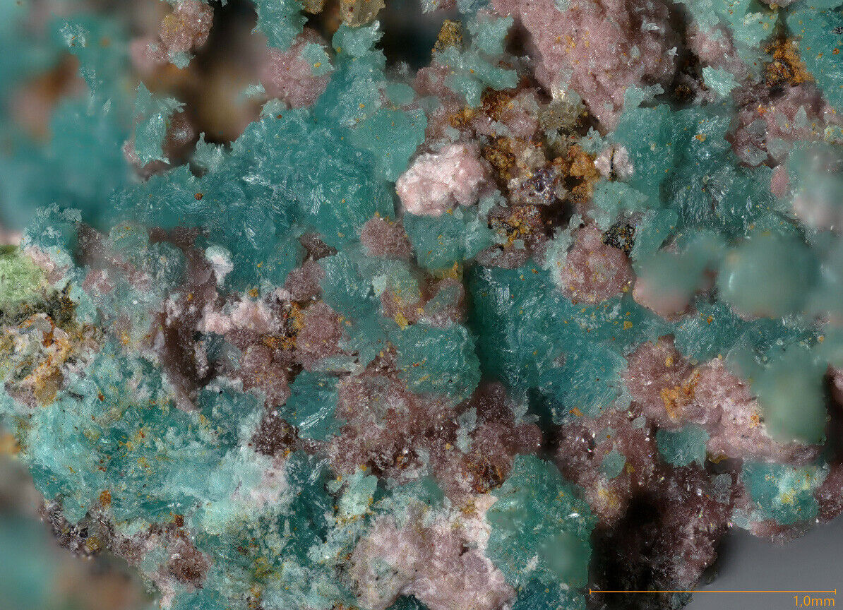 Lindackerite & Babanekite Fenugu Sibiri, Gonnosfanadiga, Sardinia, Italy