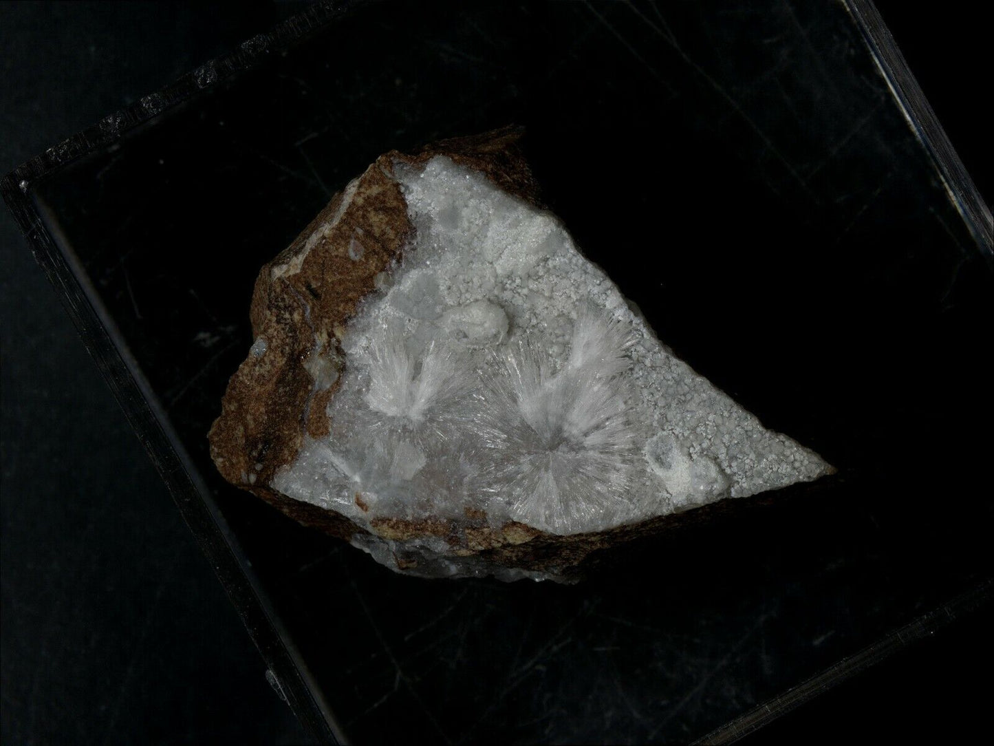 Brenkit Schellkopf, Brenk, Eifel, Deutschland