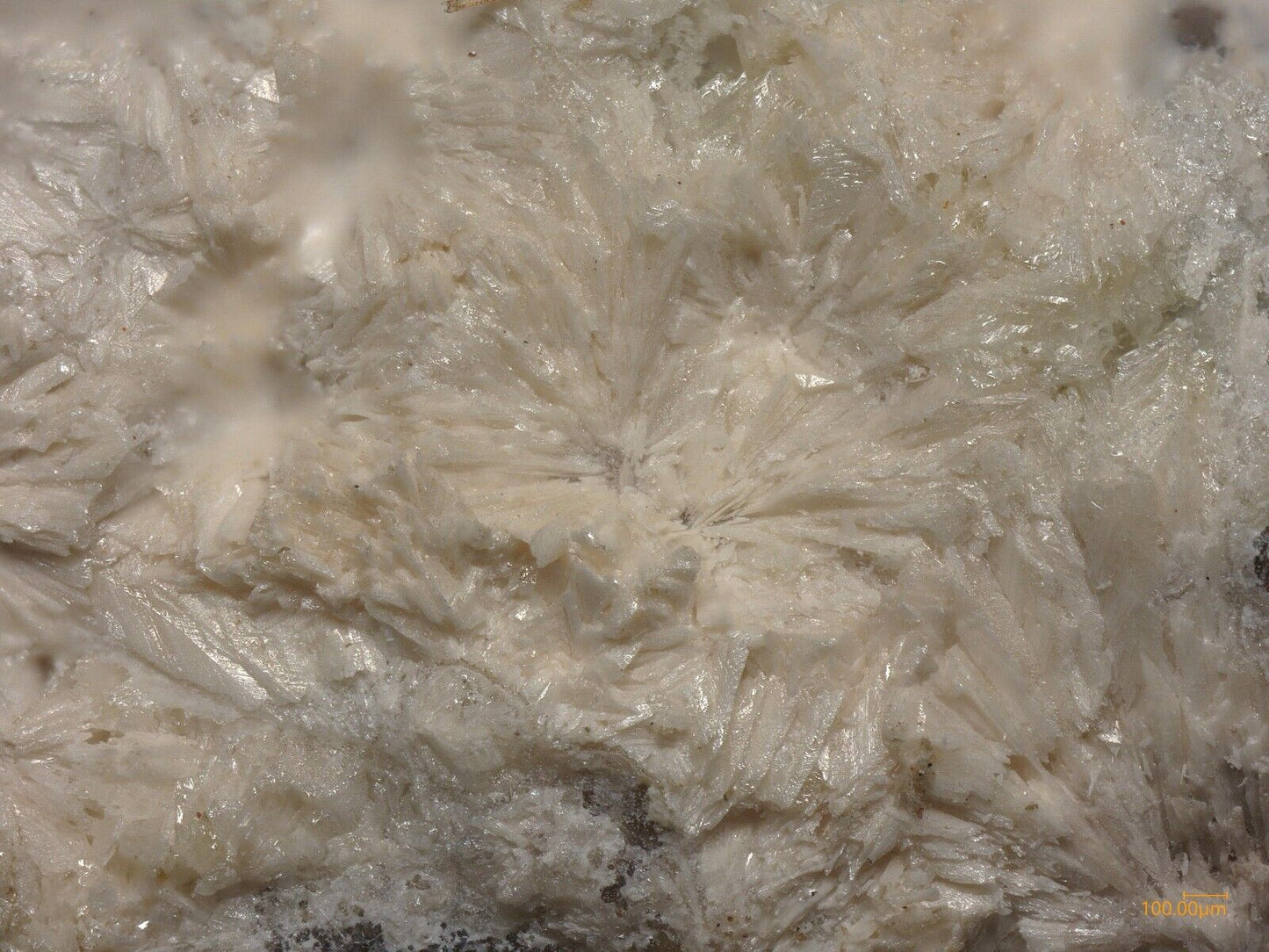 Carlfriesite HGH, Wildcat, Utah, USA