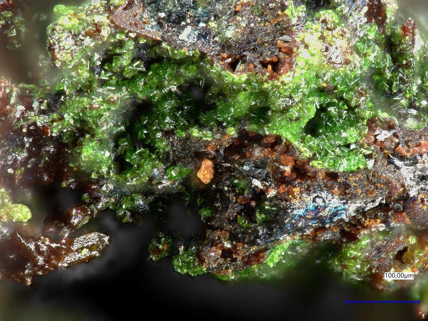 Favreauit El Dragon, Antonio Quijarro Prov., Potosi, Bolivien