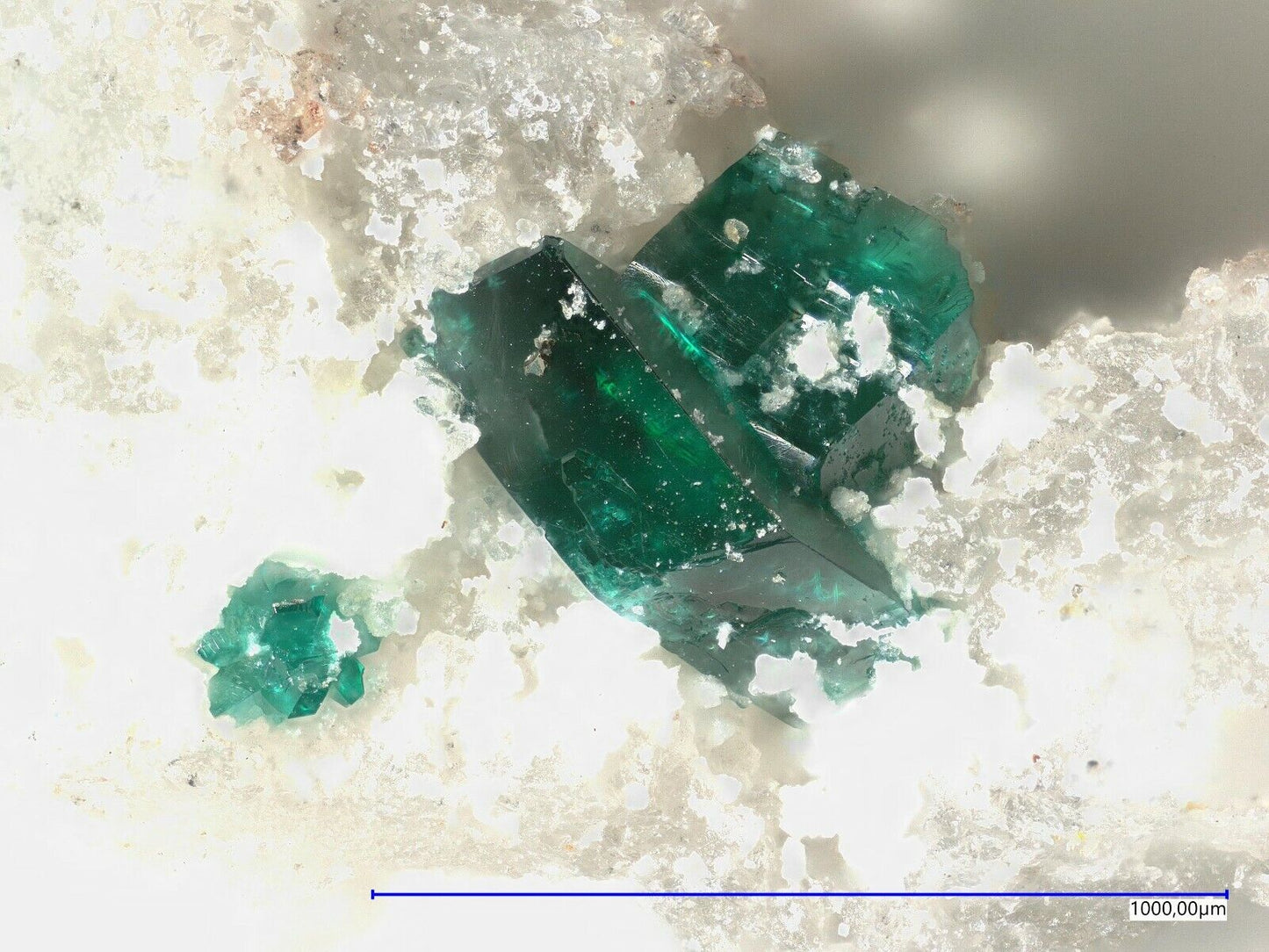 Lammerit Lavendulan El Guanaco Mine, Guanaco  Antofagasta Province, Chile