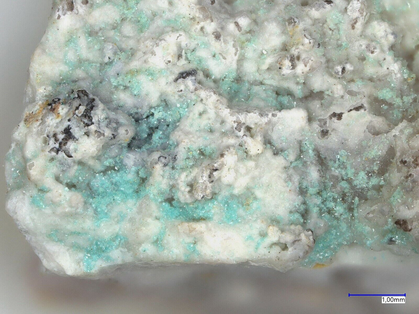 Joteit Jote mine, Tierra Amarilla, Copiapo, Chile