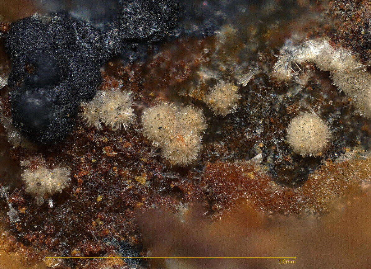 Churchite-(Y) Brunhilde mine, Menzenschwand, Germany  - SEM-EDS conf.