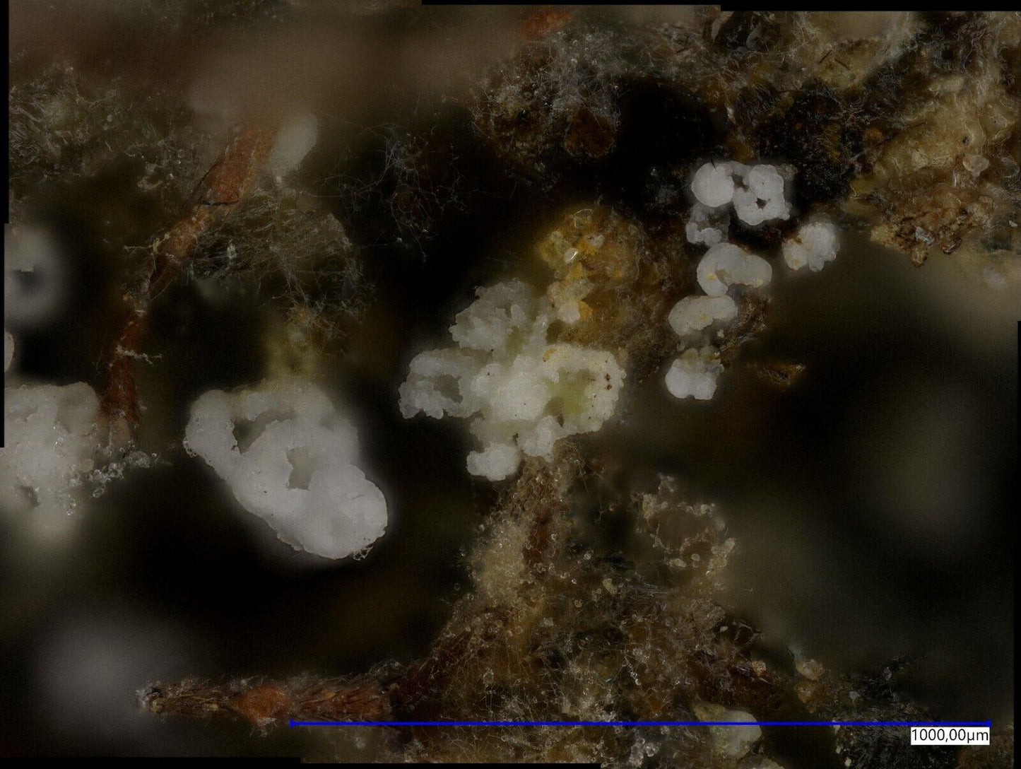 Gearksutite from the Uranus mine, Kleinrückerswalde, Saxony, Germany