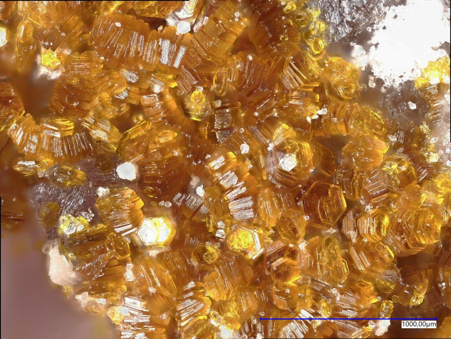 Metavoltin, Alcaparrosa mine, Cerritos Bayos, Antofagasta, Chile