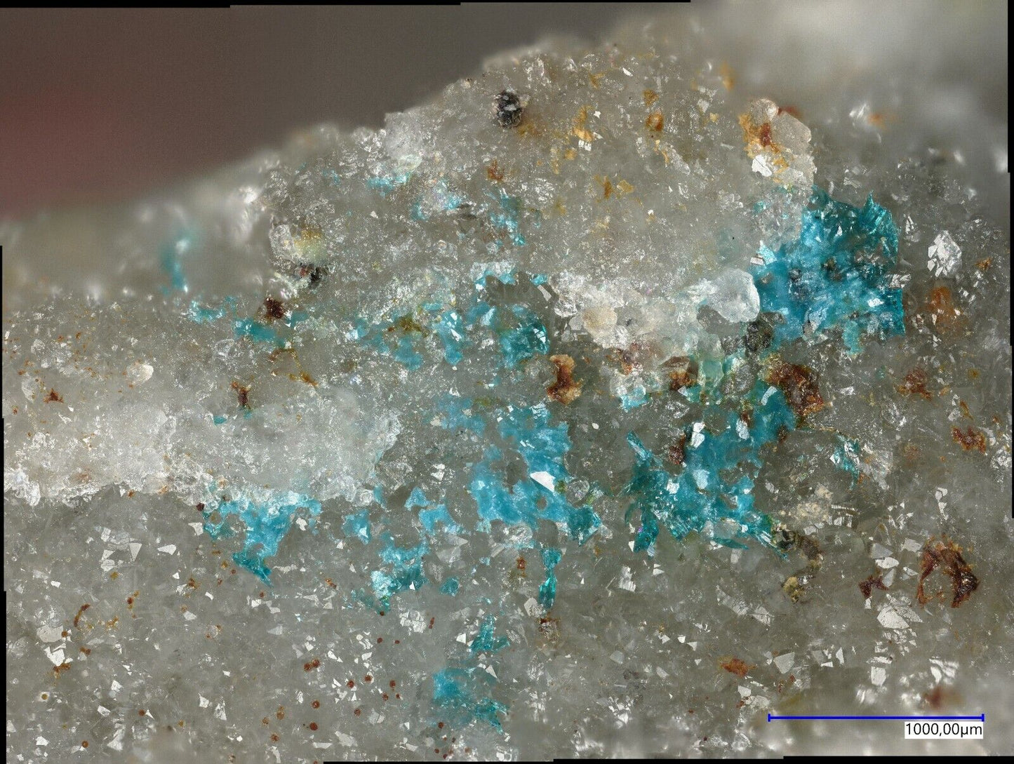 Utahit & Dagenaisit, North Star mine, Utah, USA