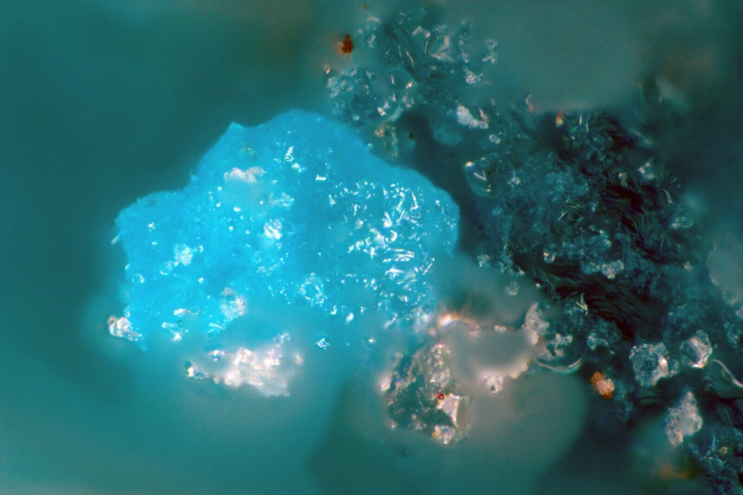 Antipinit - Antipinite Pabellon de Pica, Iquique, Chile