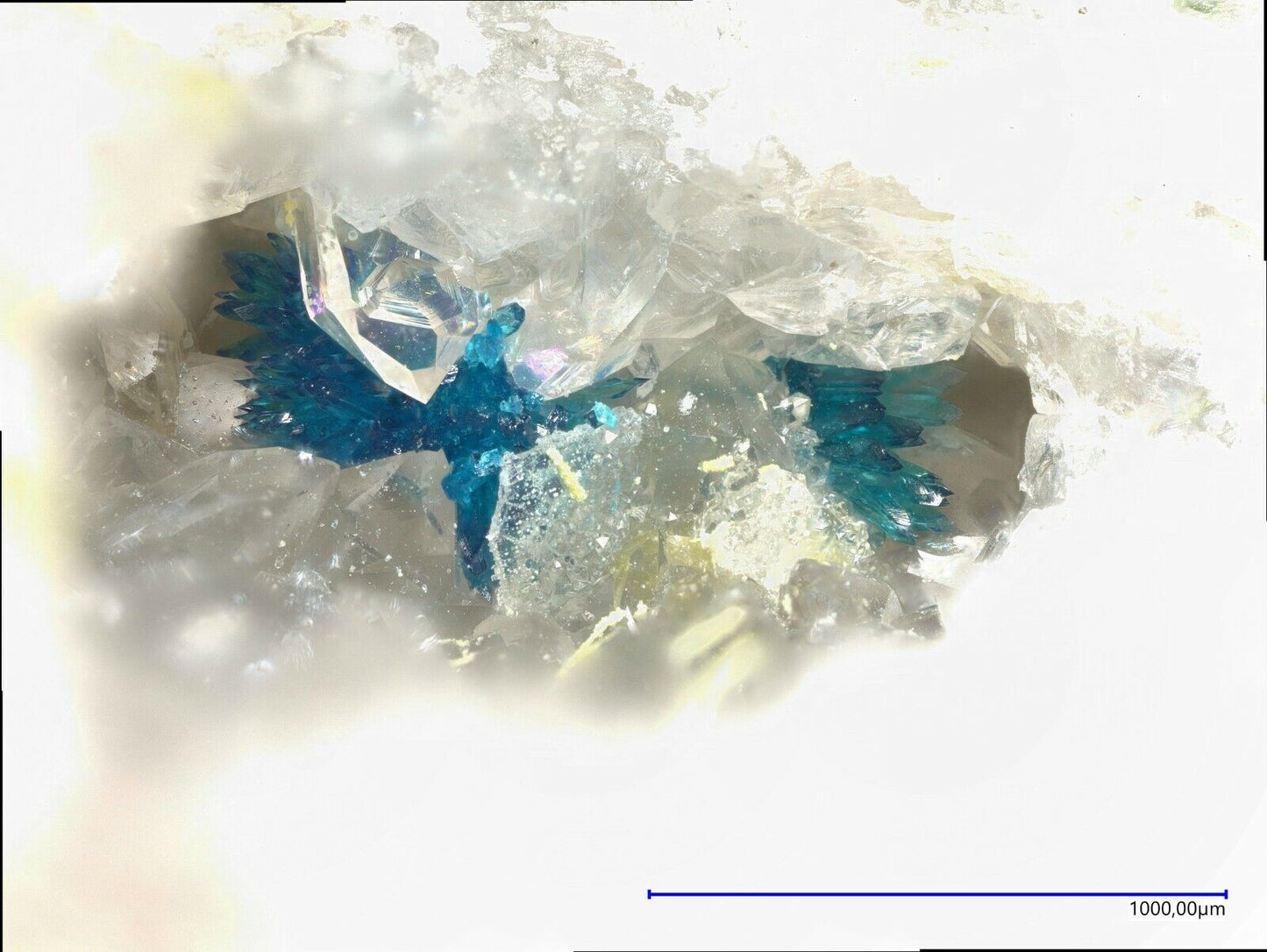 Utahit & Dagenaisit, North Star mine, Utah, USA