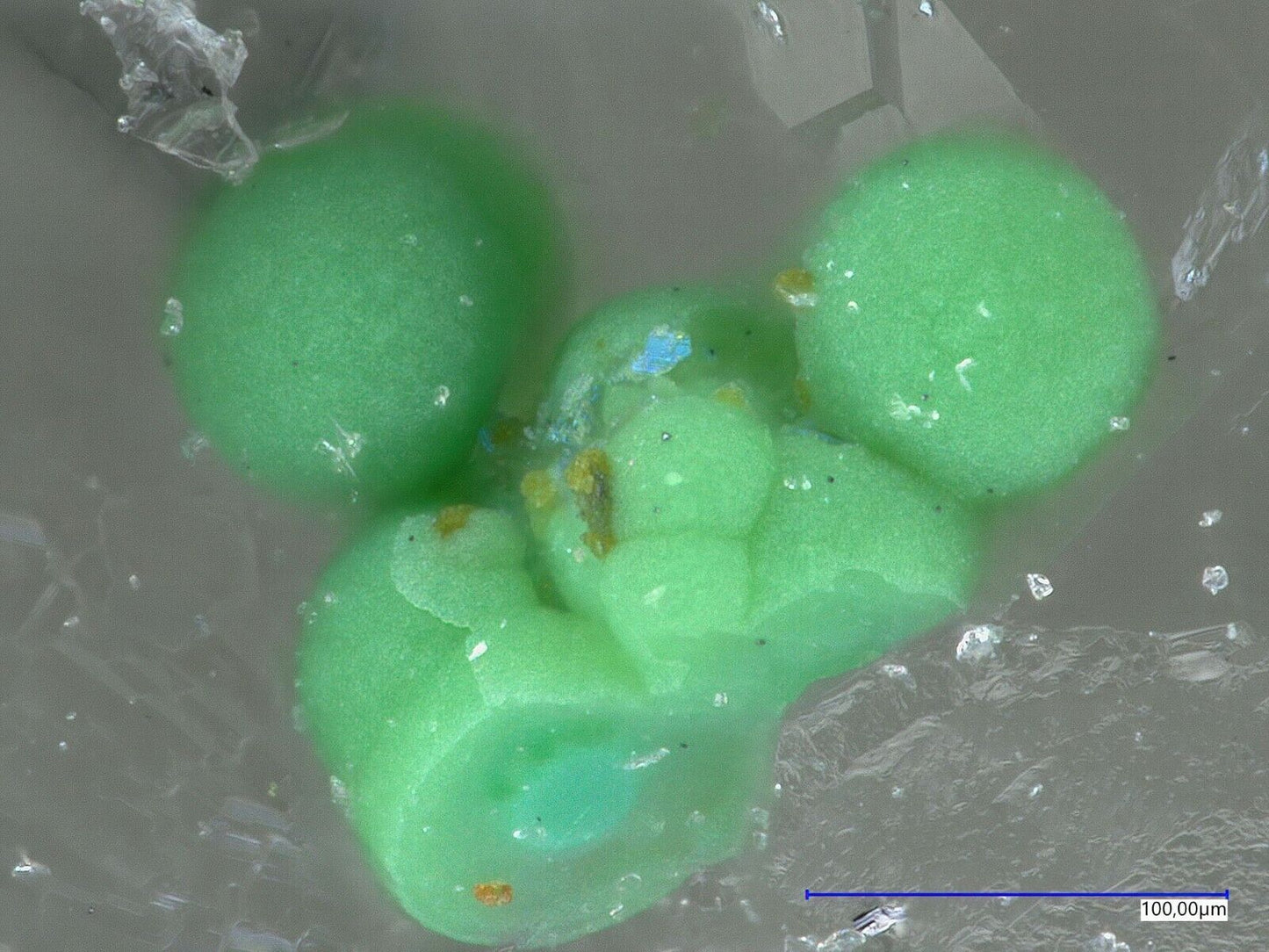 Tlapallit & Goldfieldit Raman & EDX untersucht North Star mine, Utah, USA