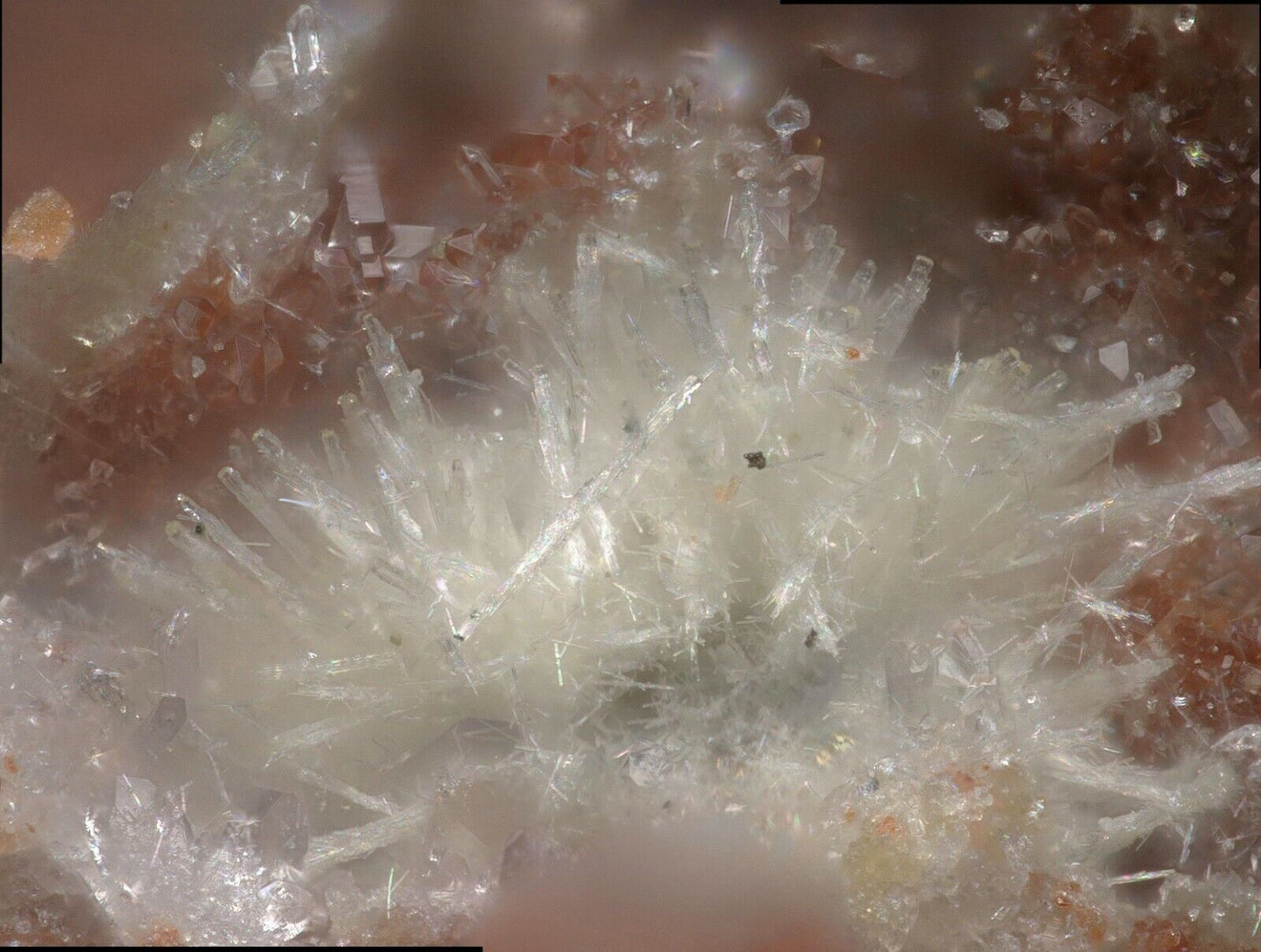 Rhabdophane-Ce Clara Mine, Oberwolfach, Germany - SEM-EDS