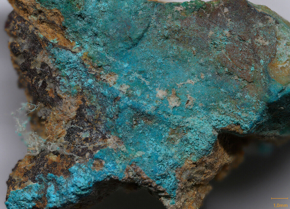 Zdenekite Fosso is Bandius, Gonnosfanadiga, Sardinia, Italy