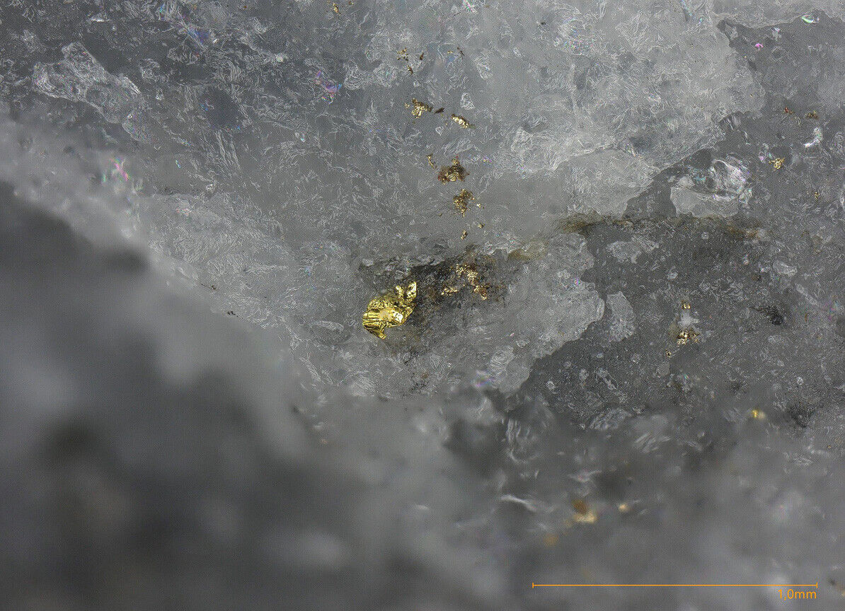 Gold Saulyak gold deposit, Rakhiv Raion, Zakarpattia Oblast, Ukraine