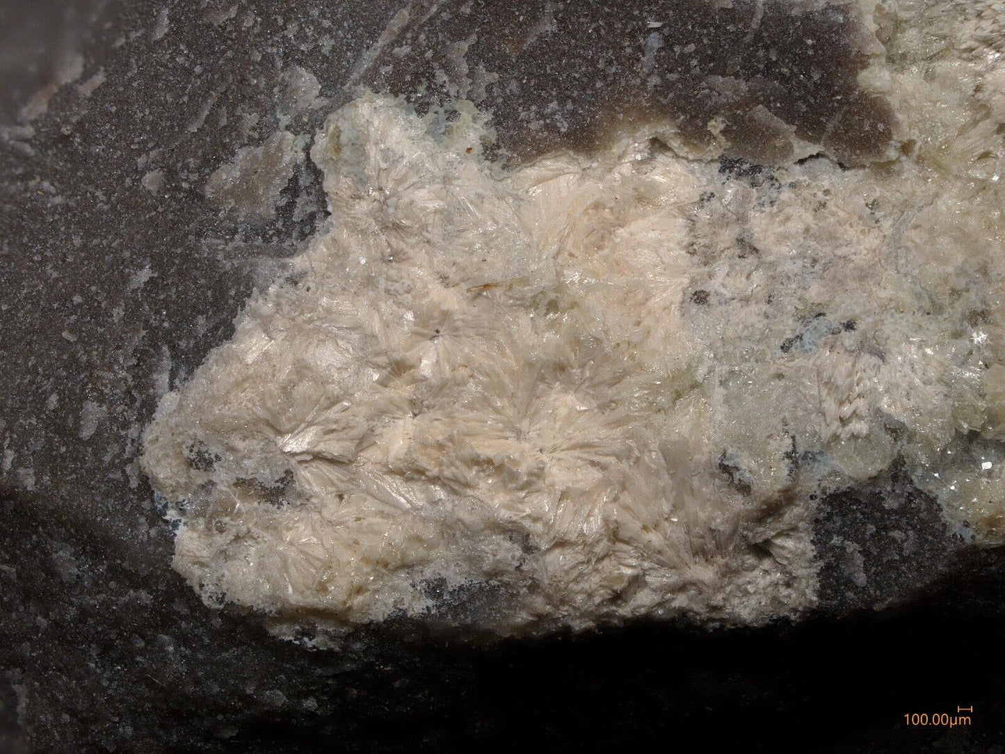 Carlfriesite HGH, Wildcat, Utah, USA