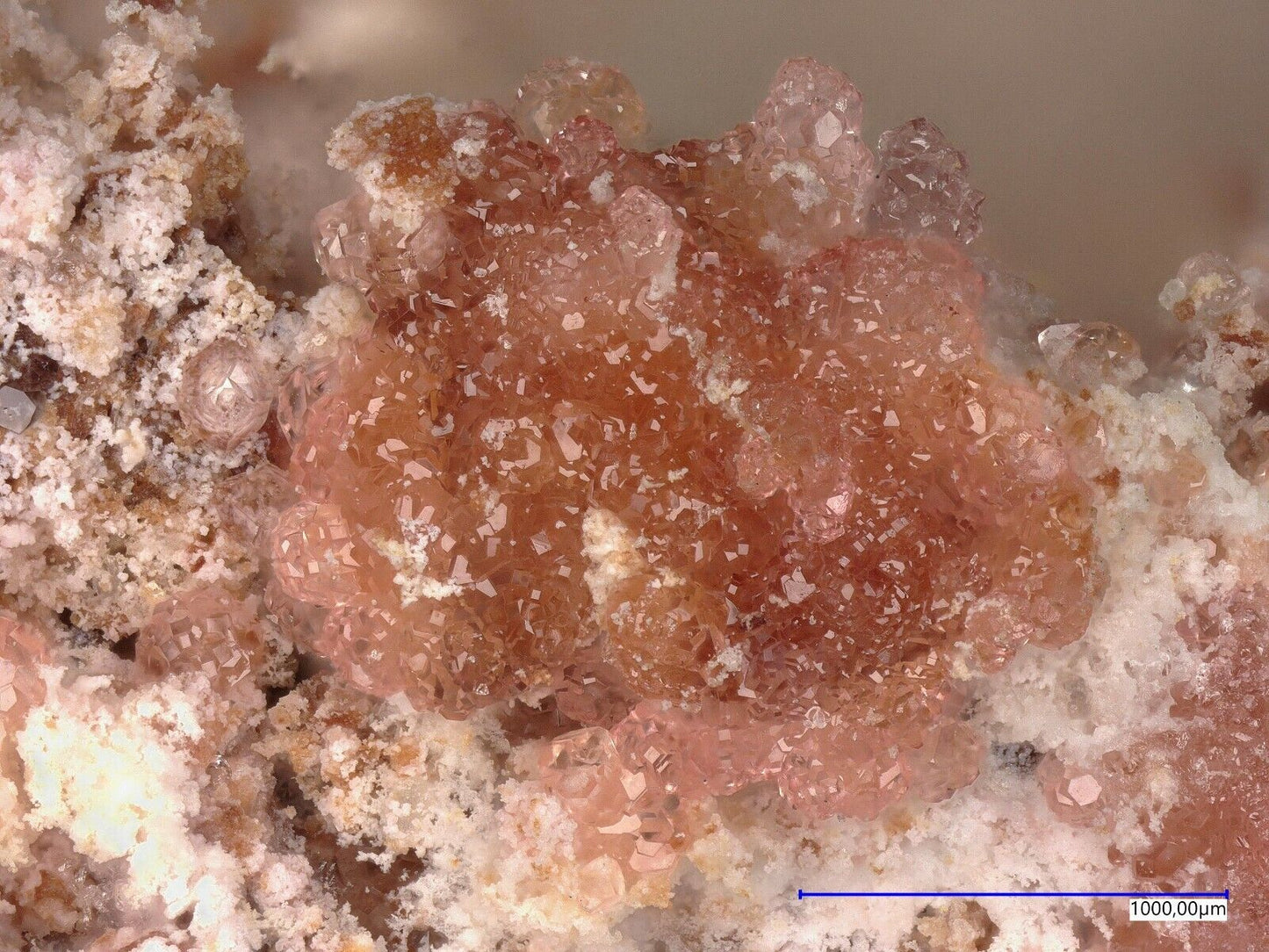 Variscite Mejillones Peninsula, Mejillones, Antofagasta Region, Chile