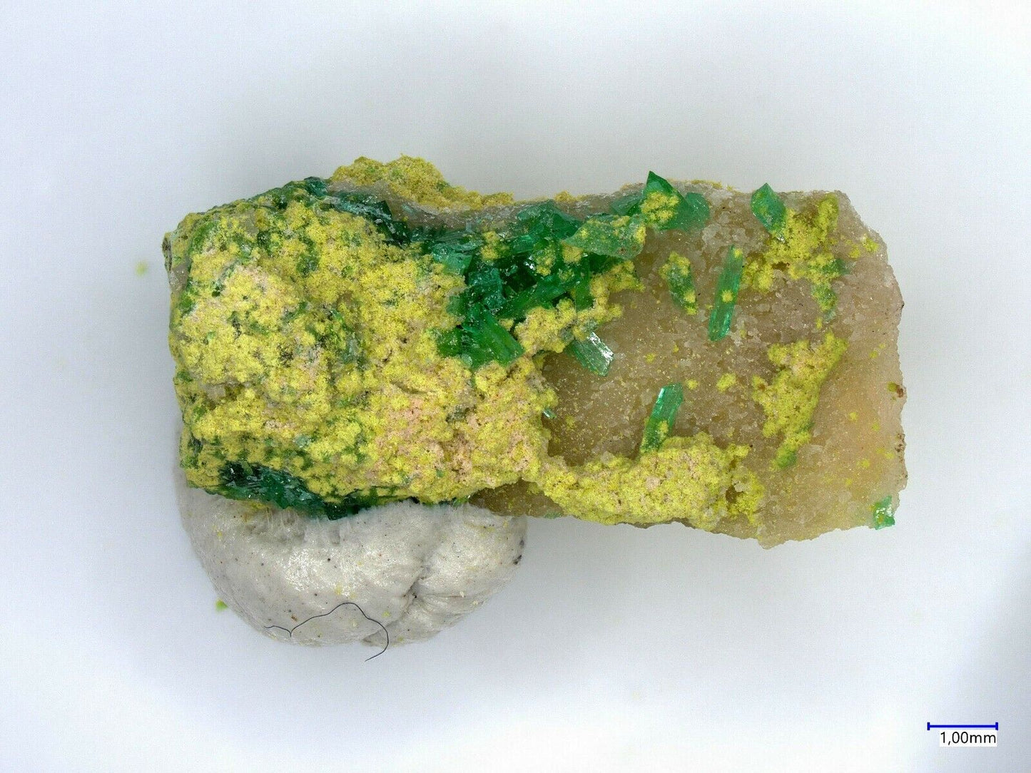 Philipsbornite & Gartrellite Tsumeb mine, Tsumeb, Namibia EDS no 1070