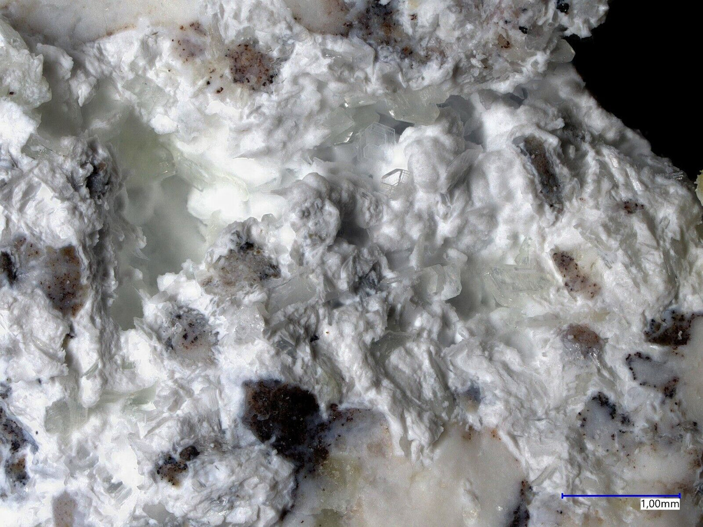 Kuzelit Caspar Stbr., Mayen, Eifel, Deutschland