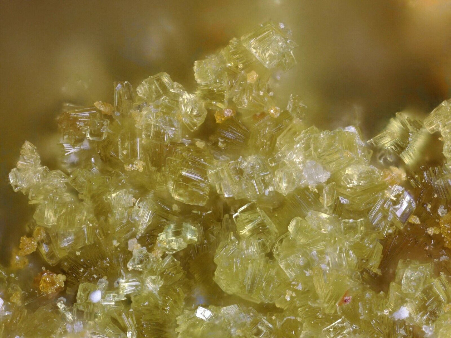 Cuprocopiapit - Cuprocopiapite Morro Mejillones, Chile