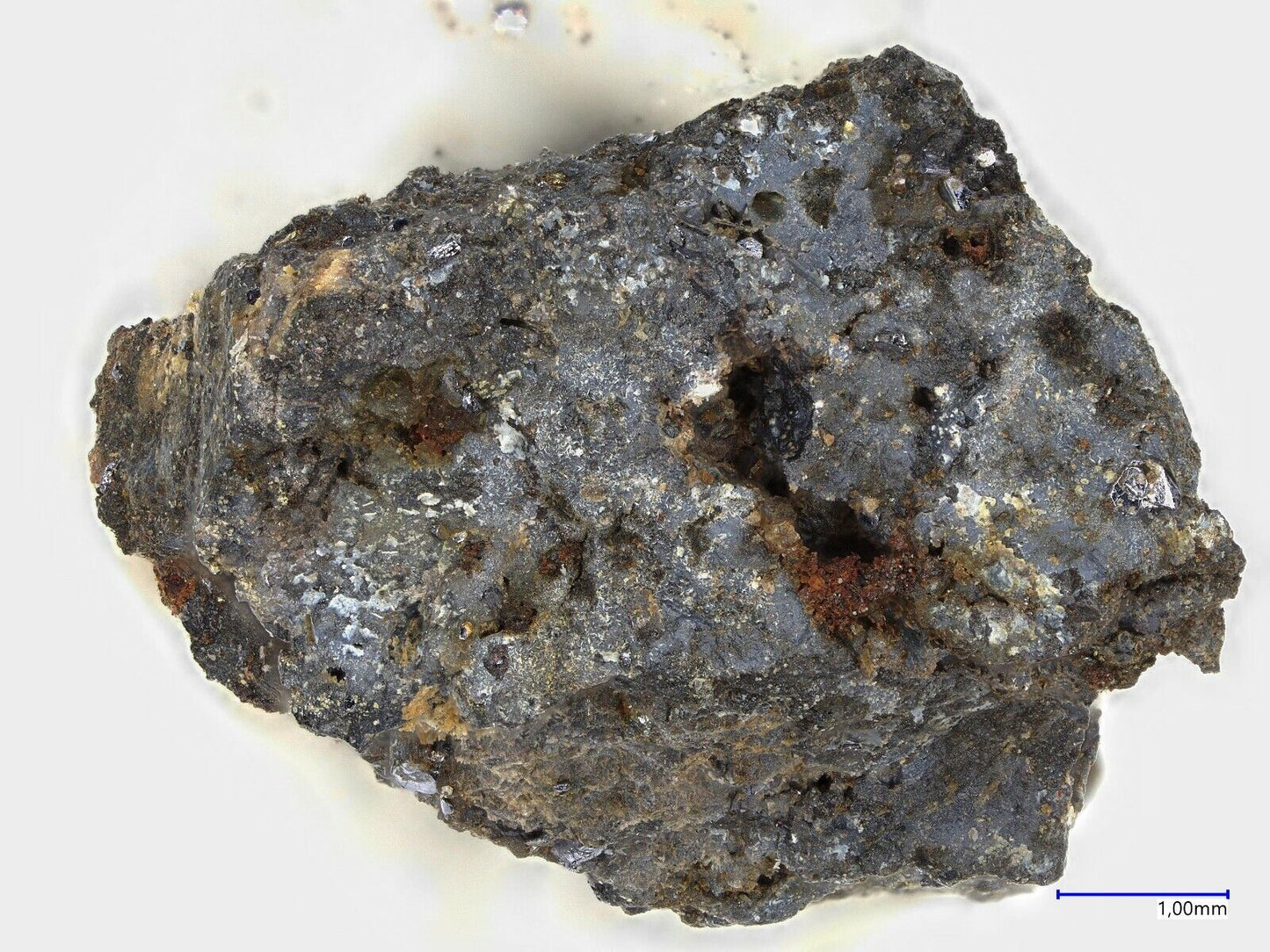 Tavagnascoit xx & Haleniusit-La Bastnäs, Västmanland, Schweden