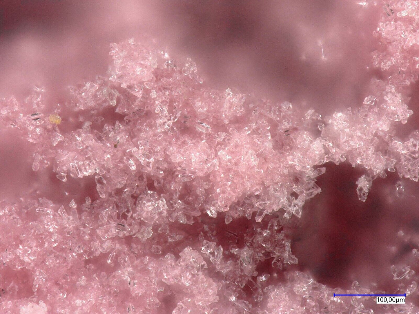 Tinsleyit Morro Mejillones, Mejillones, Chile