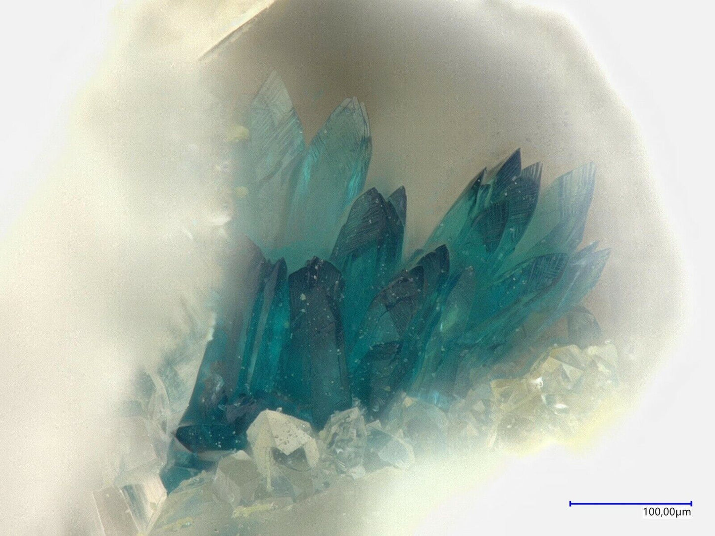 Utahit & Dagenaisit, North Star mine, Utah, USA